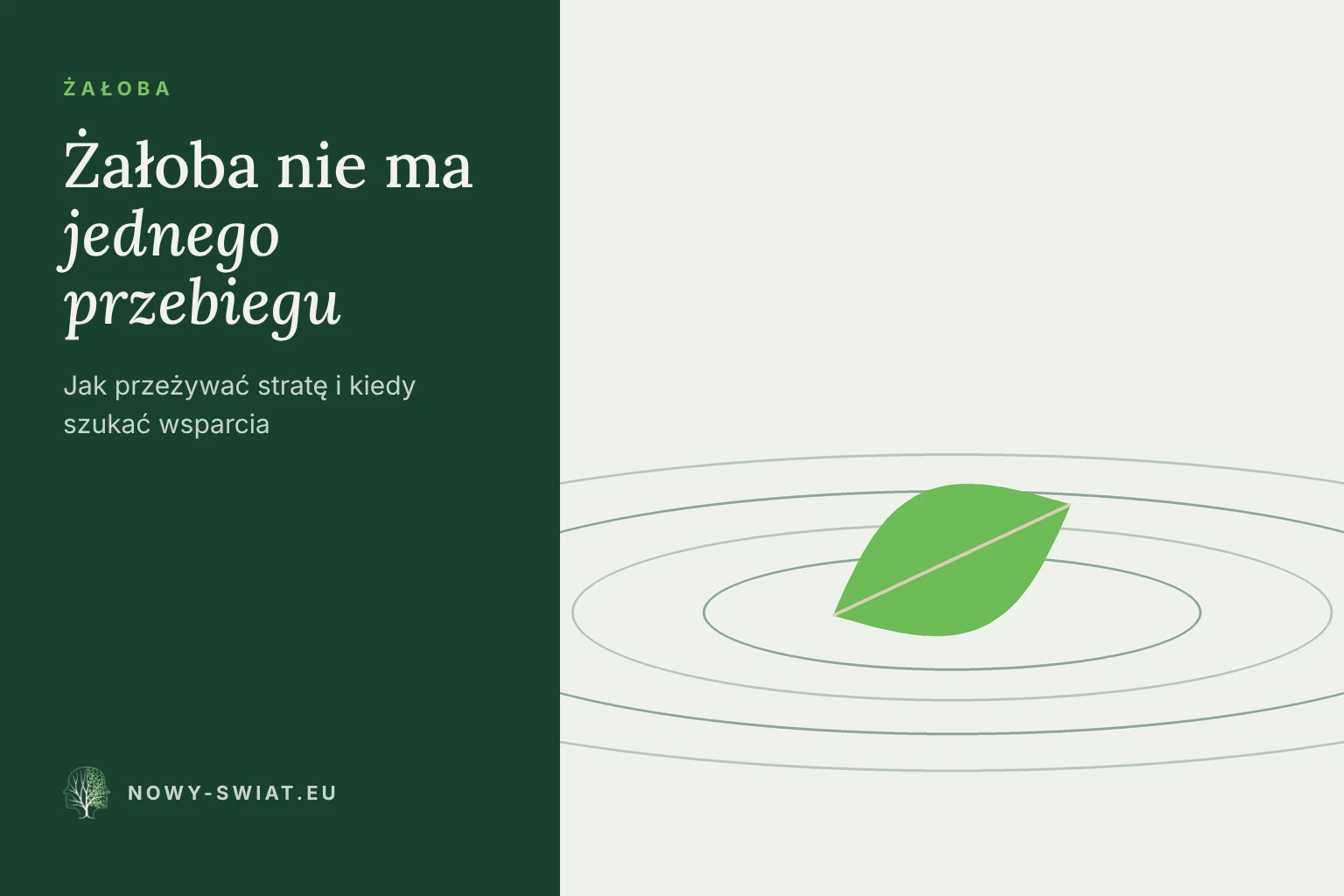 emocje w żałobie przychodzą falami